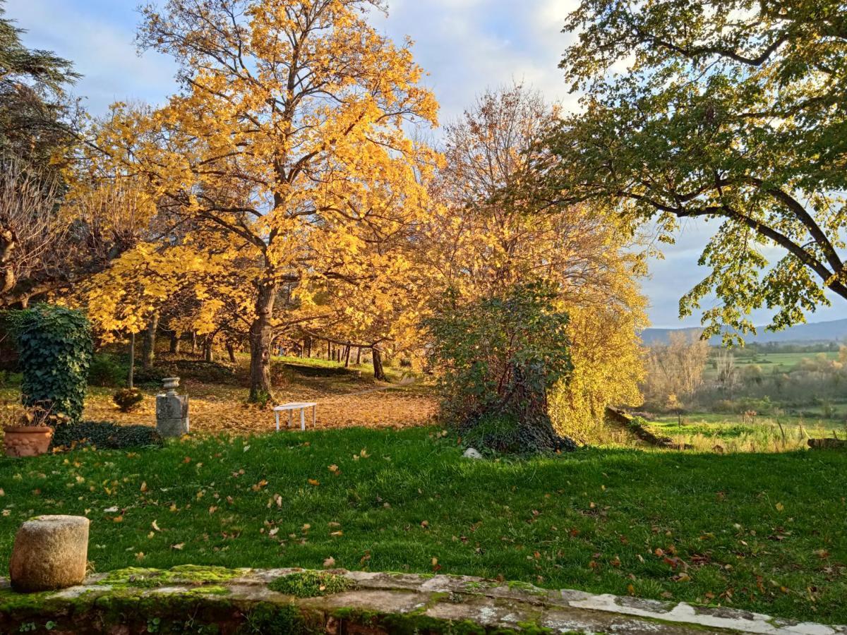 Maison Calme Avec Piscine Entouree De Son Parc Quintenas Εξωτερικό φωτογραφία