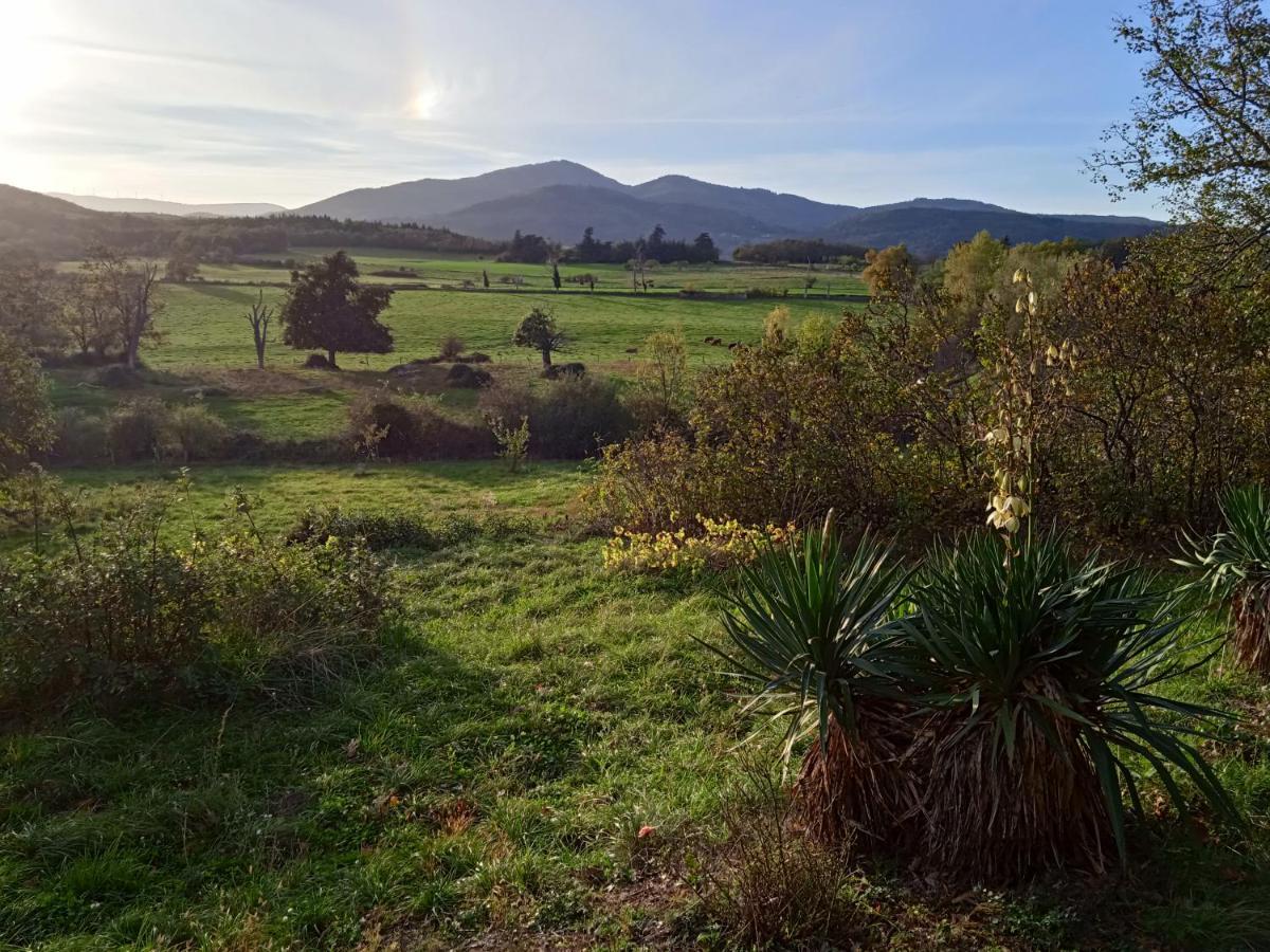Maison Calme Avec Piscine Entouree De Son Parc Quintenas Εξωτερικό φωτογραφία